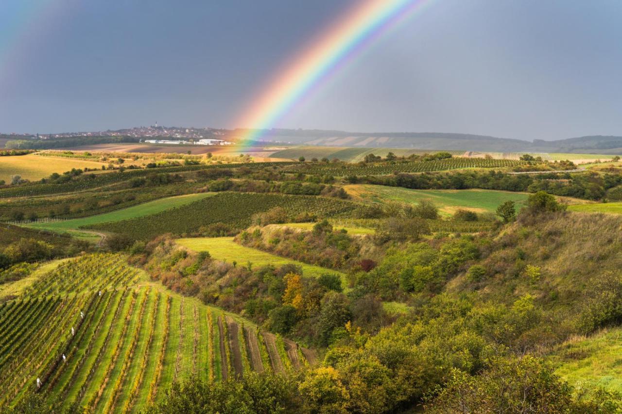 Vinný sklep Vinoza Velké Bílovice Exterior foto
