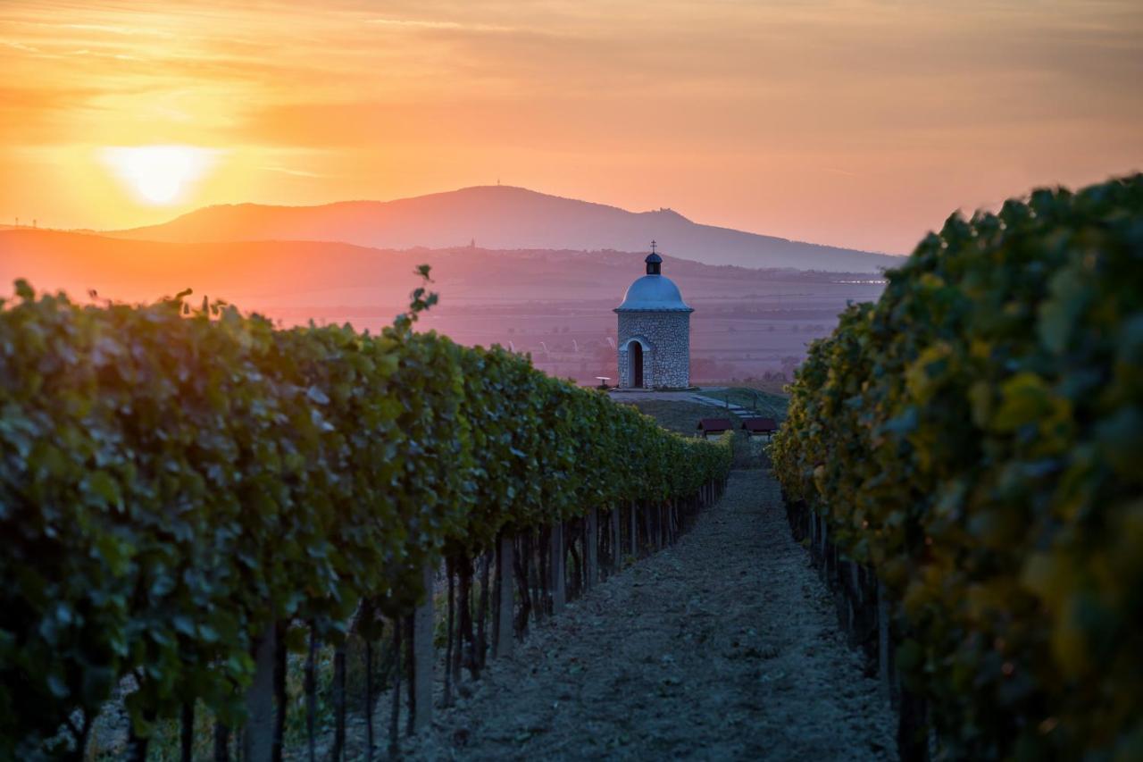 Vinný sklep Vinoza Velké Bílovice Exterior foto